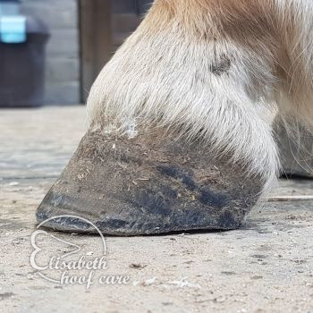 lal na natuurlijke bekapping 20200815