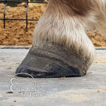 lal na natuurlijke bekapping 20200830