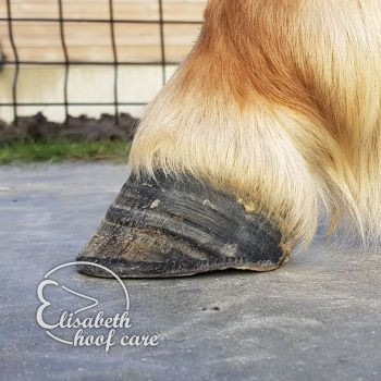 lal na natuurlijke bekapping 20201004