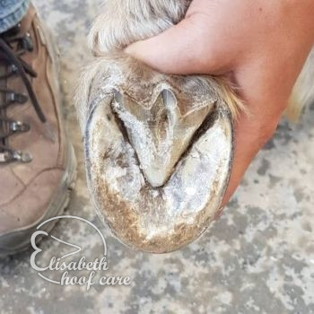 lao na natuurlijke bekapping 20200815