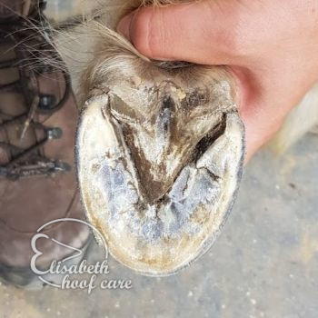 lao na natuurlijke bekapping 20200830