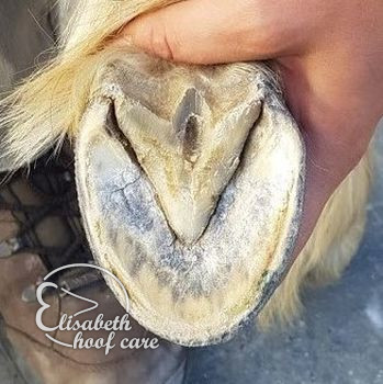 lao na natuurlijke bekapping 20201004