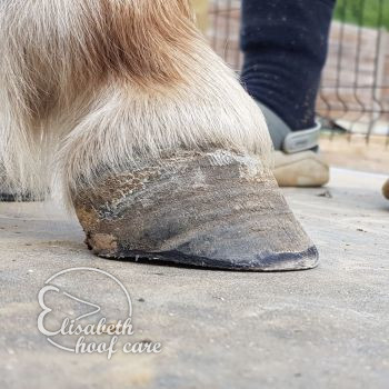 rvl na natuurlijke bekapping 20200830