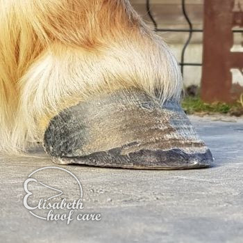 rvl na natuurlijke bekapping 20201004